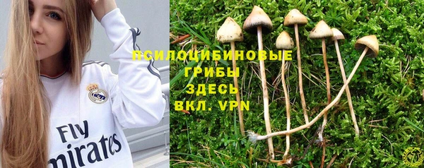 метамфетамин Алексеевка